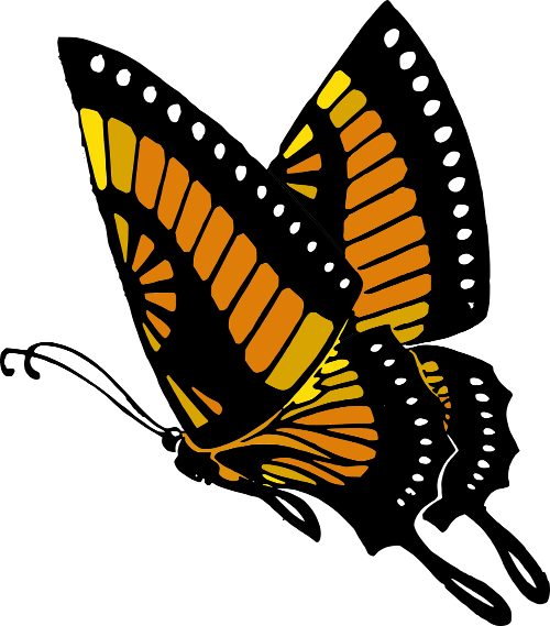 Schmetterling